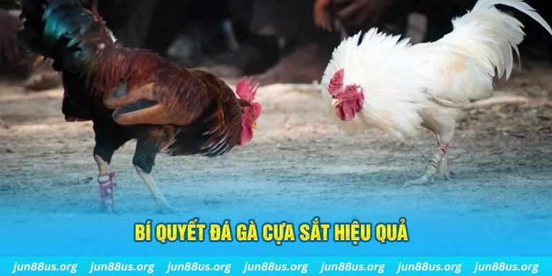 vwin88 xin 1 slot là gì
