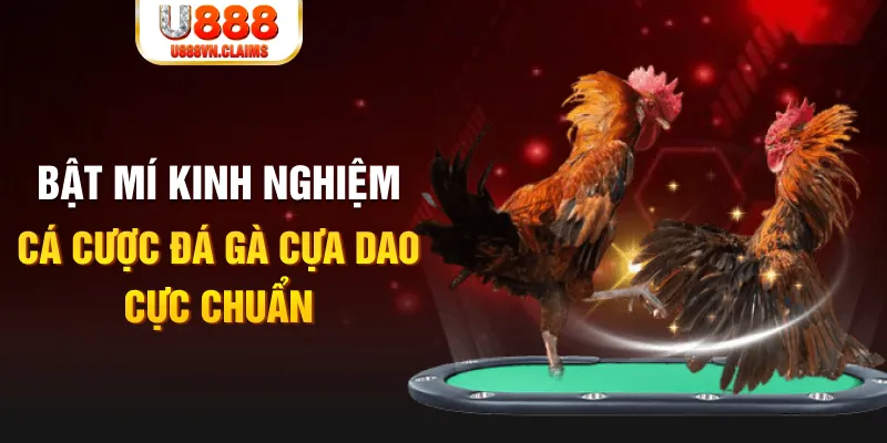 vwin88 tỷ lệ cá cược châu á là gì