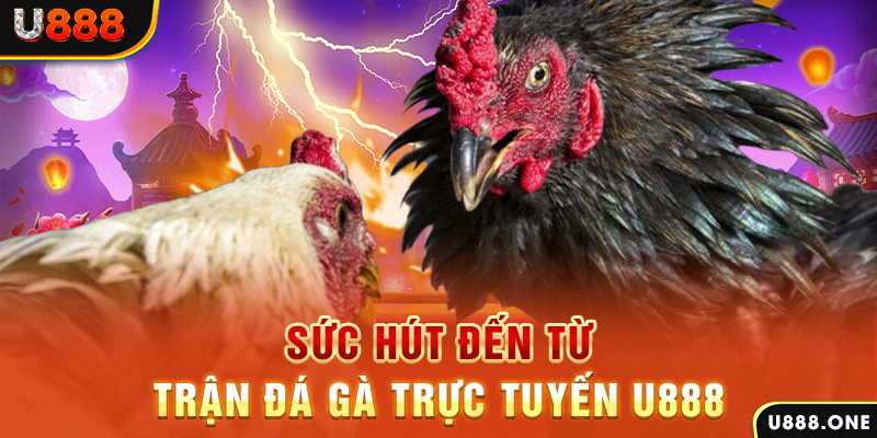 vwin88 nổ hũ b29 là gì