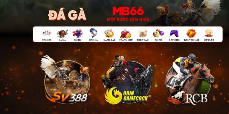 vwin88 đăng nhập poker số 1