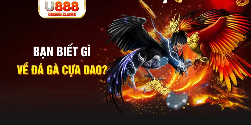 vwin88 nổ hủ là gì