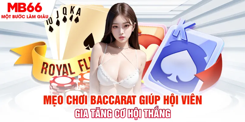 vwin88 Phi Đội Ưu Tú