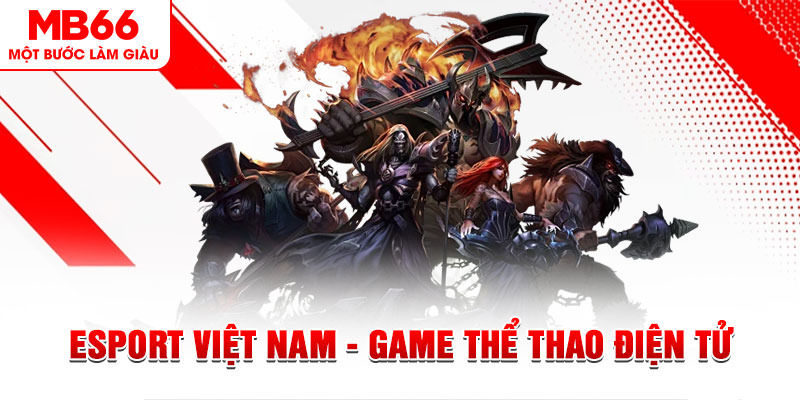 vwin88 what are the most popular casino games