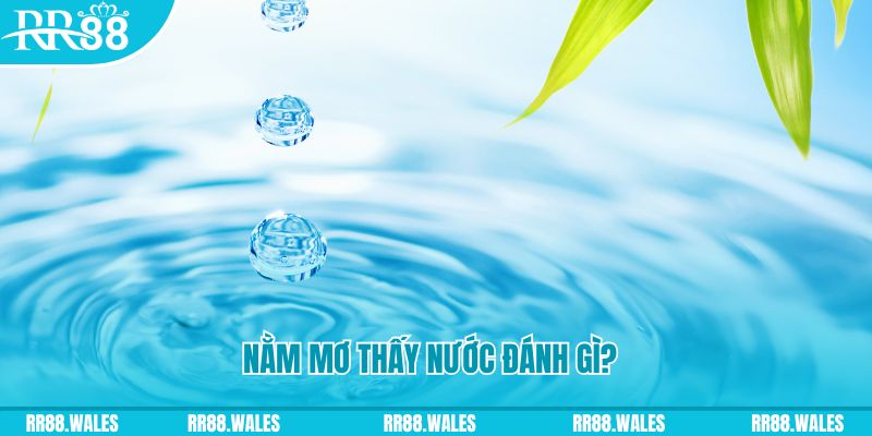 vwin88 TP Bắn cá