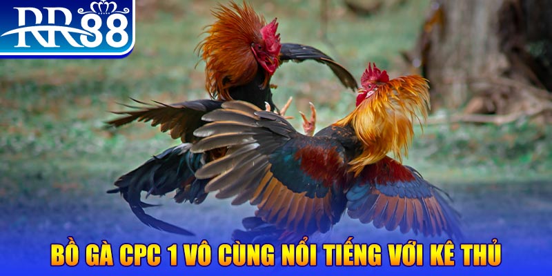 vwin88 game máy bay nổ hũ