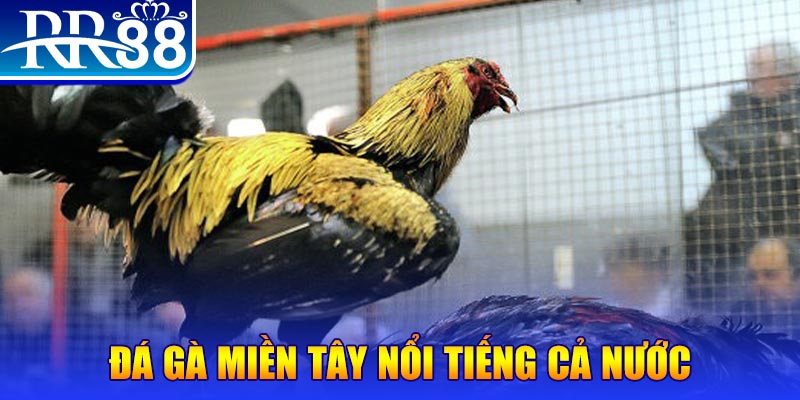vwin88 JILI Game Bài 3d