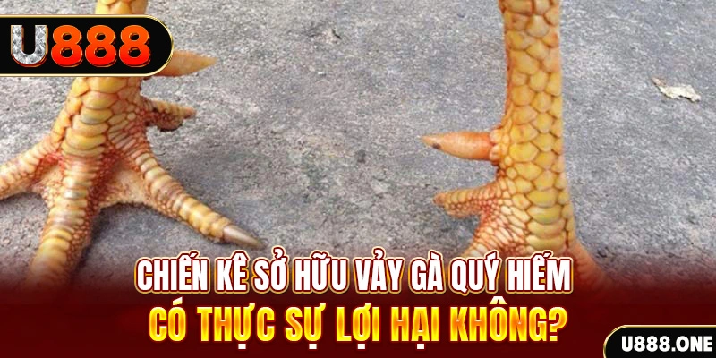 vwin88 nohu .mx nổ hủ là gì