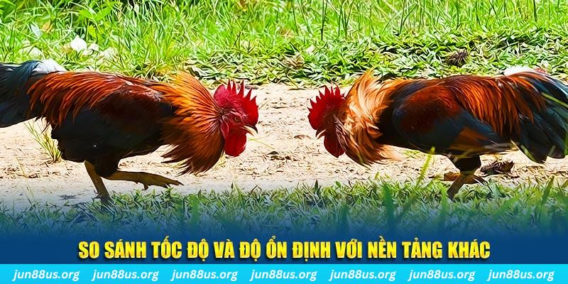 vwin88 đá gà hôm nay