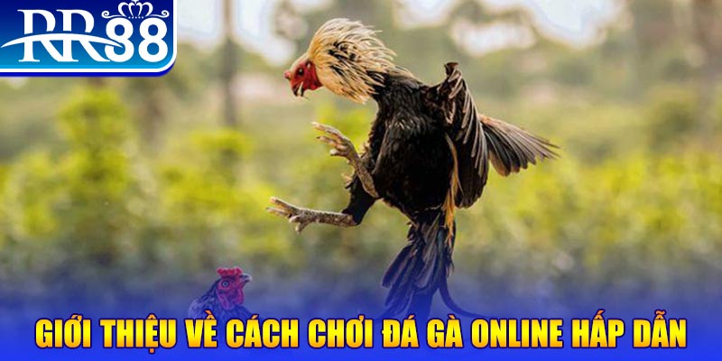 vwin88 game nổ hũ rút tiền mặt là gì