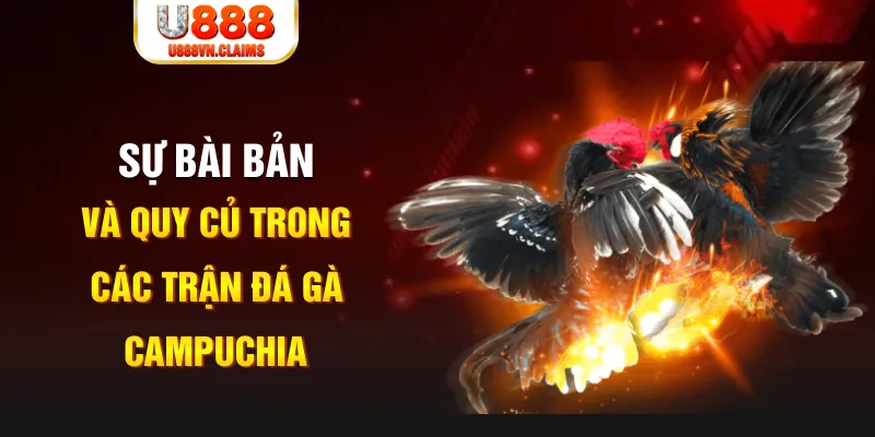 vwin88 YGR Điện Tử