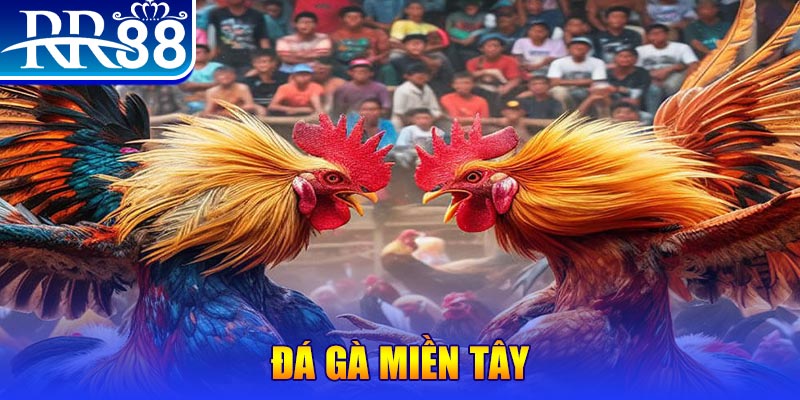vwin88 đăng nhập nổ hũ