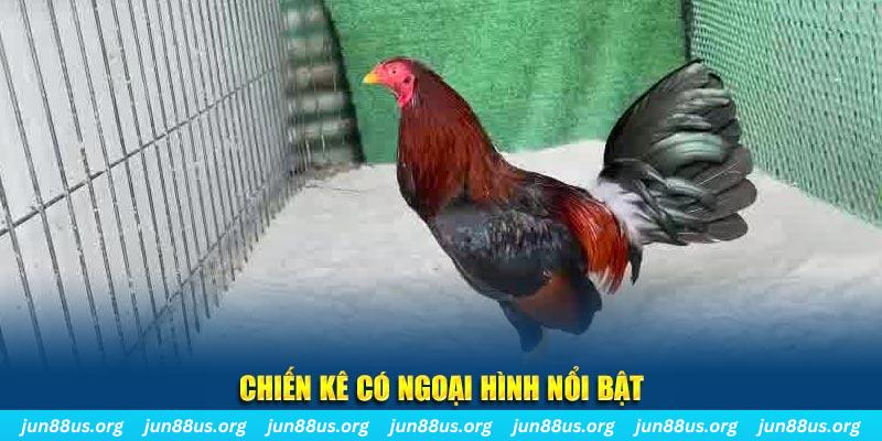 chạy quảng cáo cho game bài bị phạt như thế nào