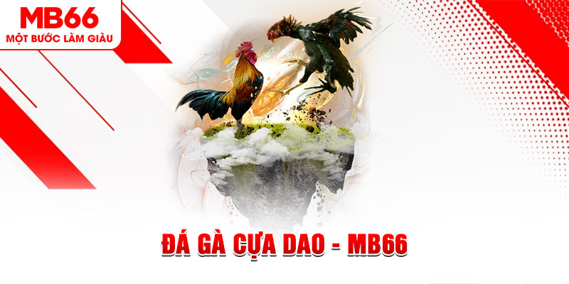 vwin88 đá gà sv388 gold